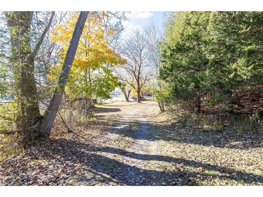 









6361


16th

Line,
Minto,




ON
N0G 1M0


