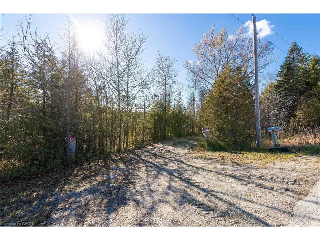 









6361


16th

Line,
Minto,




ON
N0G 1M0

