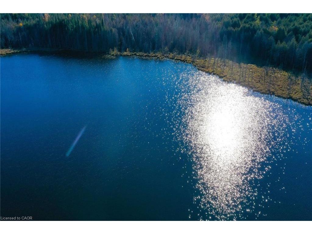 









6361


16th

Line,
Minto,




ON
N0G 1M0

