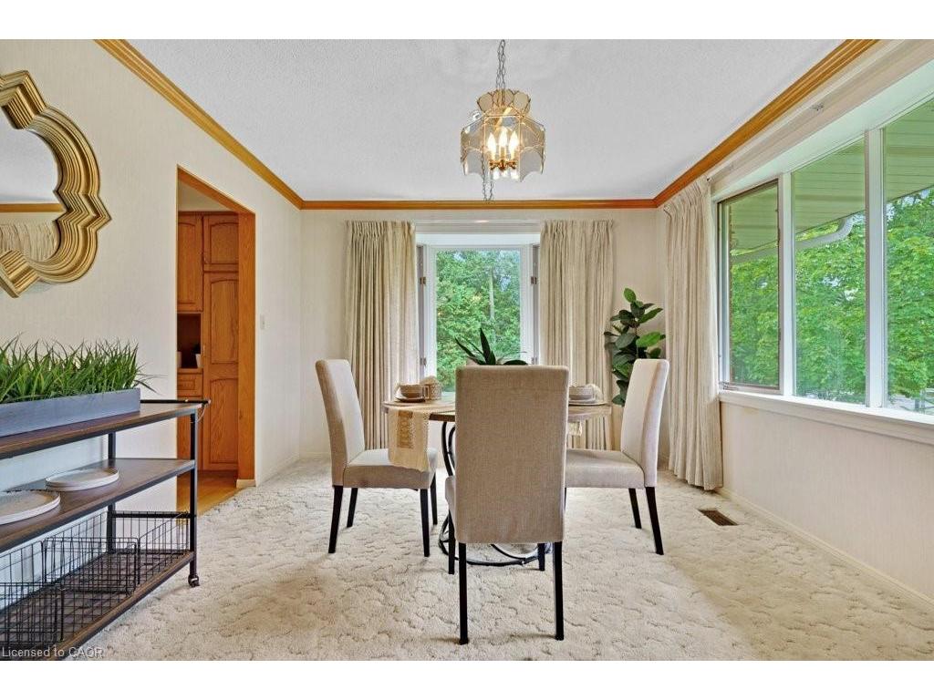 









1265


Brantford

Highway,
Cambridge,




ON
N1R 5S5

