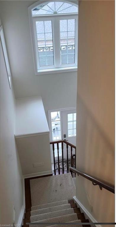 









520


Silken Lauamnn

Drive,
Newmarket,




ON
L3X 2S7

