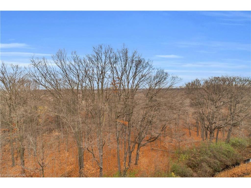 









1100


Lackner

Place, 503,
Kitchener,




ON
N2A 0M1

