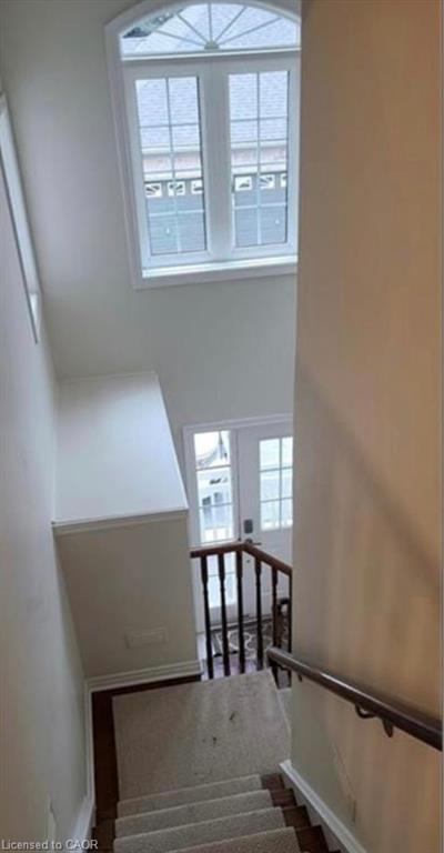 









520


Silken Lauamnn

Drive,
Newmarket,




ON
L3X 2S7

