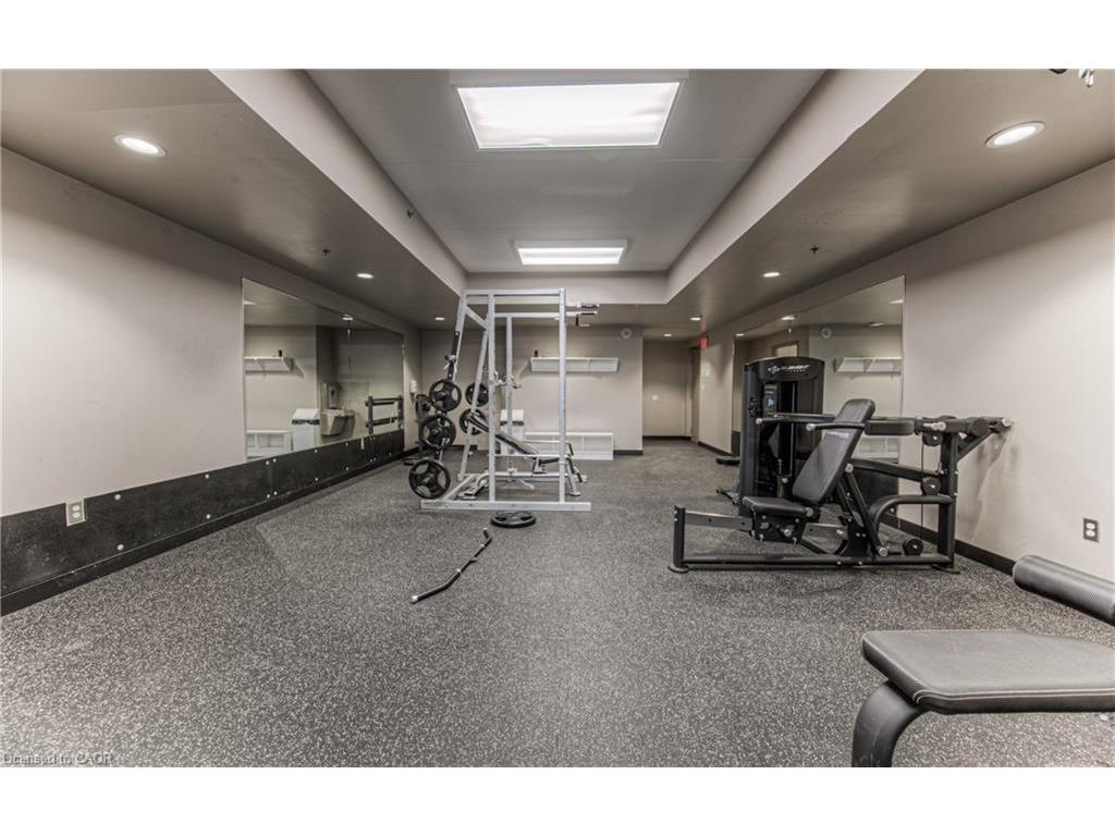 









8


Hickory

Street West, 401,
Waterloo,




ON
N2L 3H6

