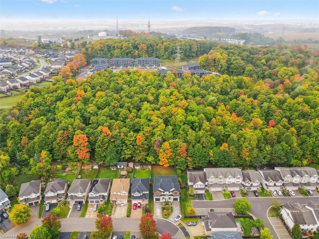 









548


Peach Blossom

Court,
Kitchener,




ON
N2E 3Z9

