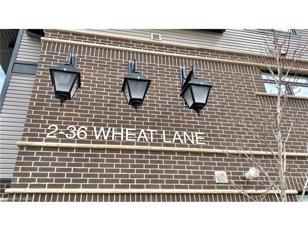 









16


Wheat

Lane,
Kitchener,




ON
N0B 2E0


