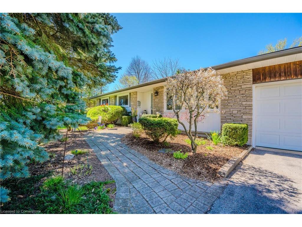 









41


Ridgeway

Avenue,
Guelph,




ON
N1L 1G8

