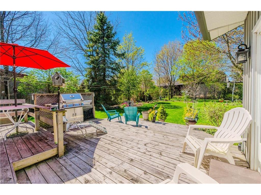 









41


Ridgeway

Avenue,
Guelph,




ON
N1L 1G8

