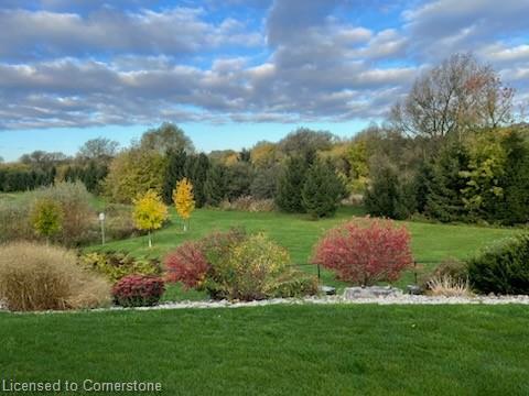 









166


River Run

Road,
Drayton,




ON
N0G 1P0

