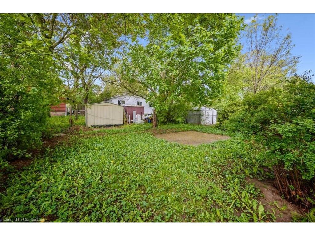 









53


Karen

Walk,
Waterloo,




ON
N2L 5X1

