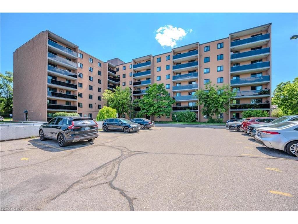 









29


West

Avenue, 204,
Kitchener,




ON
N2M 5E4

