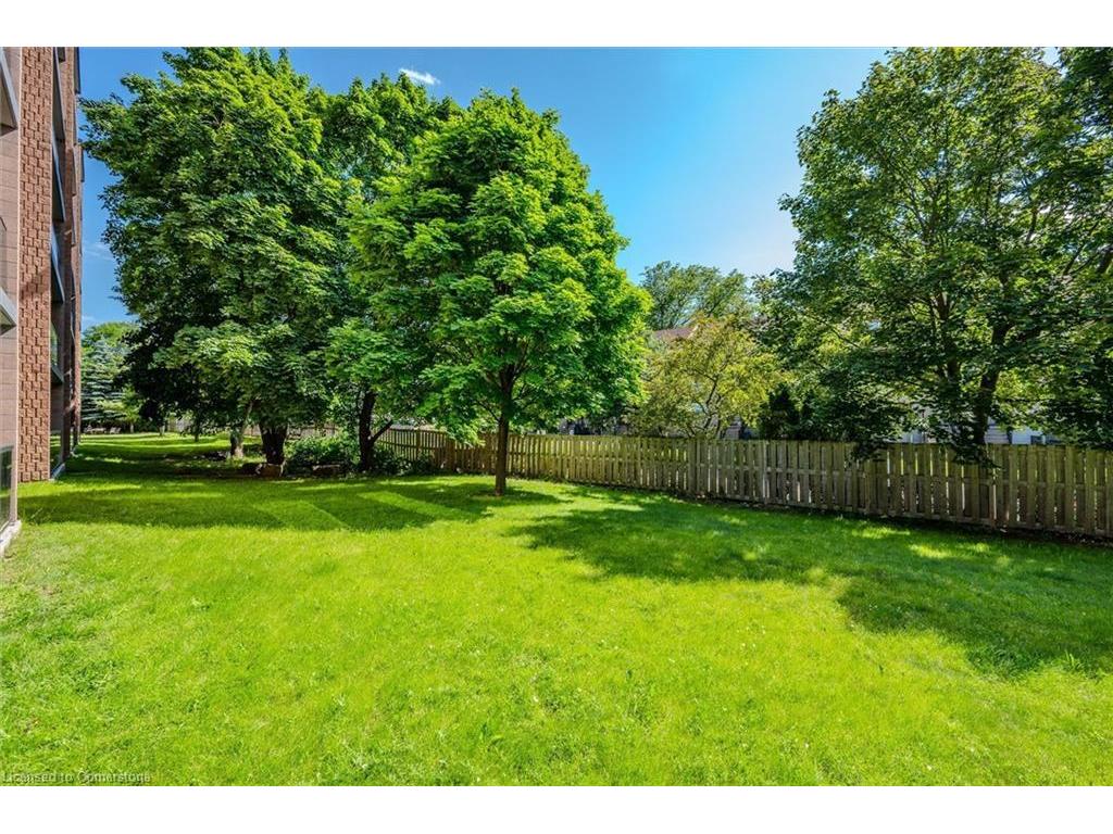 









29


West

Avenue, 204,
Kitchener,




ON
N2M 5E4

