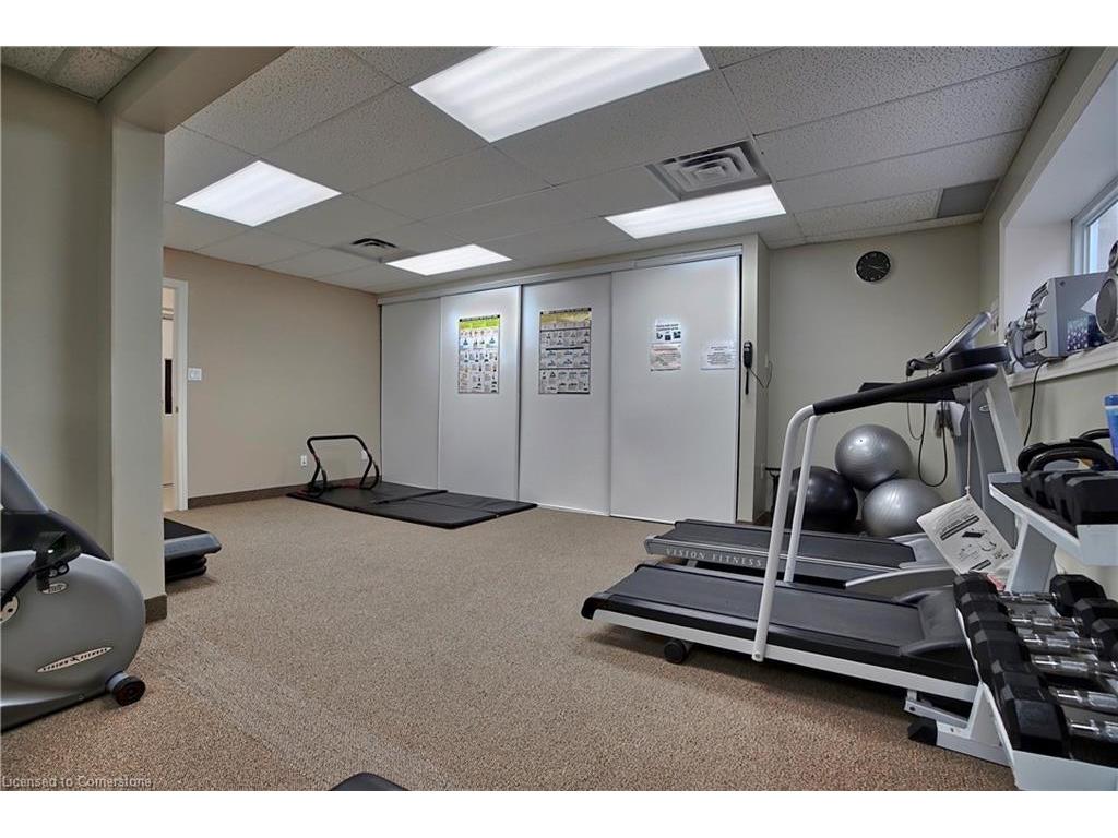 









148


Gracehill

Crescent,
Freelton,




ON
L8B 1A5

