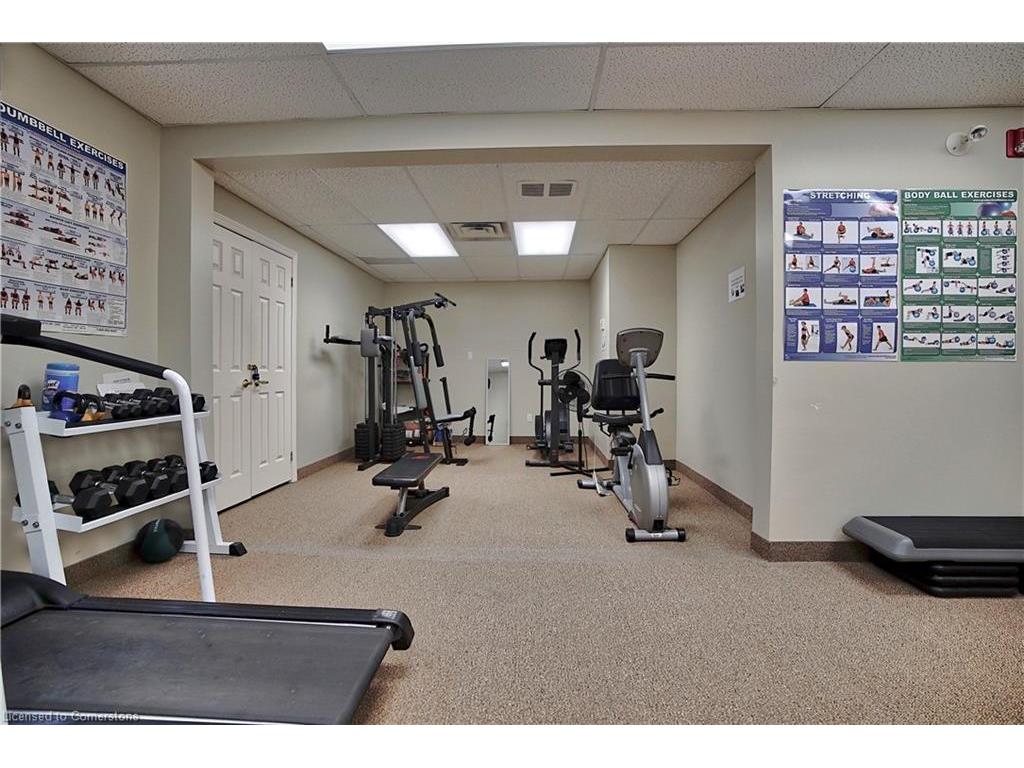









148


Gracehill

Crescent,
Freelton,




ON
L8B 1A5

