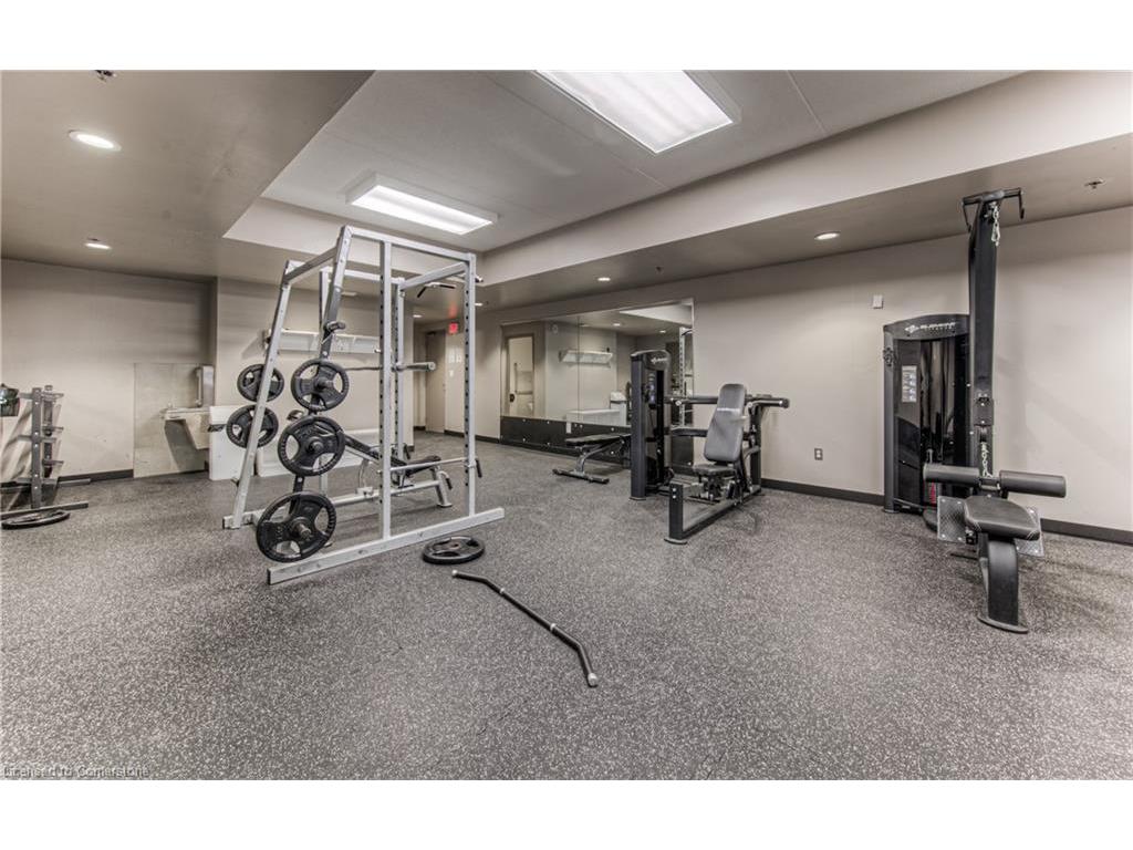 









8


Hickory

Street West, 401,
Waterloo,




ON
N2L 3H6

