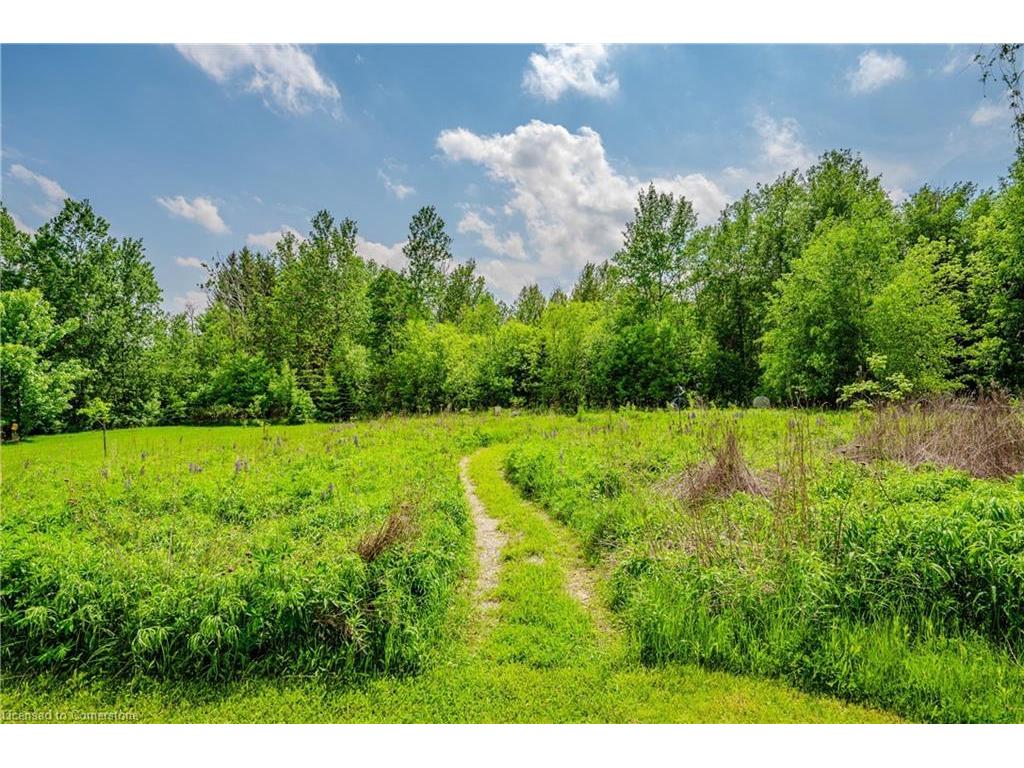 









953


St David

Street North,
Fergus,




ON
N1M 2W3

