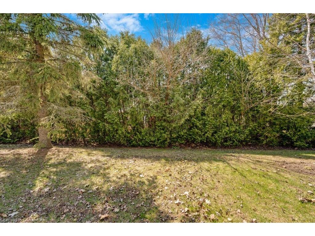 









120


Kilroot

Place,
Freelton,




ON
L8B 1A5

