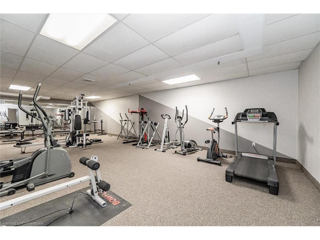 









29


West

Avenue, 311,
Kitchener,




ON
N2M 5E4

