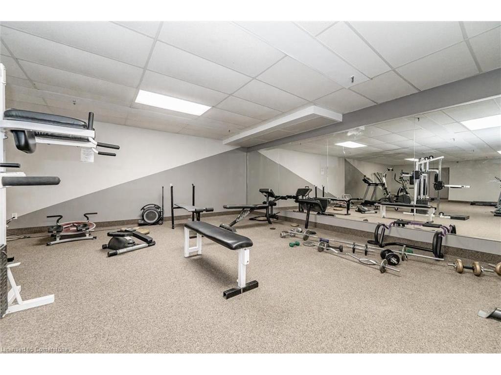 









29


West

Avenue, 311,
Kitchener,




ON
N2M 5E4

