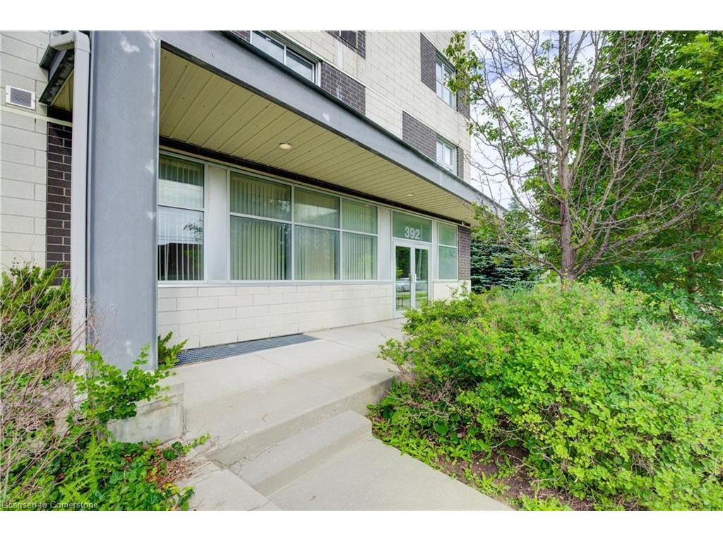 









392


Albert

Street, 204,
Waterloo,




ON
N2L 3V1

