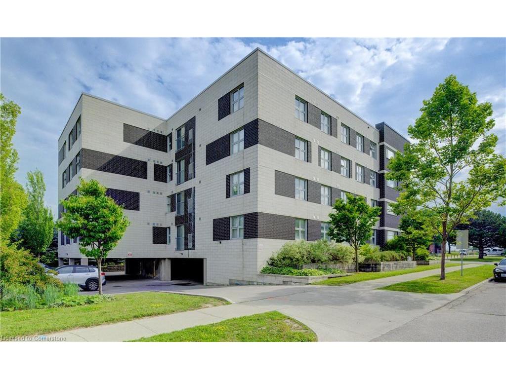 









392


Albert

Street, 204,
Waterloo,




ON
N2L 3V1

