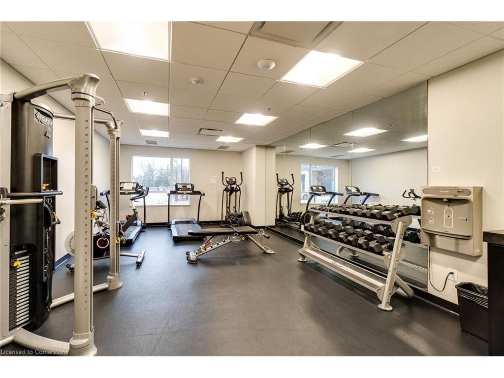









255


Northfield

Drive, 202,
Waterloo,




ON
N2J 4G8

