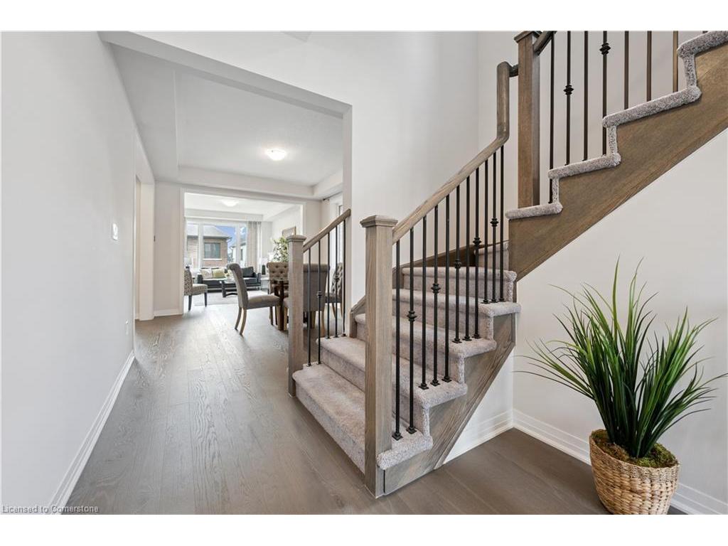 









445


Robert Woolner

Street,
Ayr,




ON
N0B 1E0


