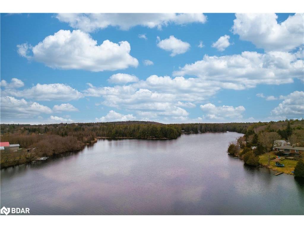 









6672


Highway 35

Highway,
Coboconk,







ON
L0K 1M0

