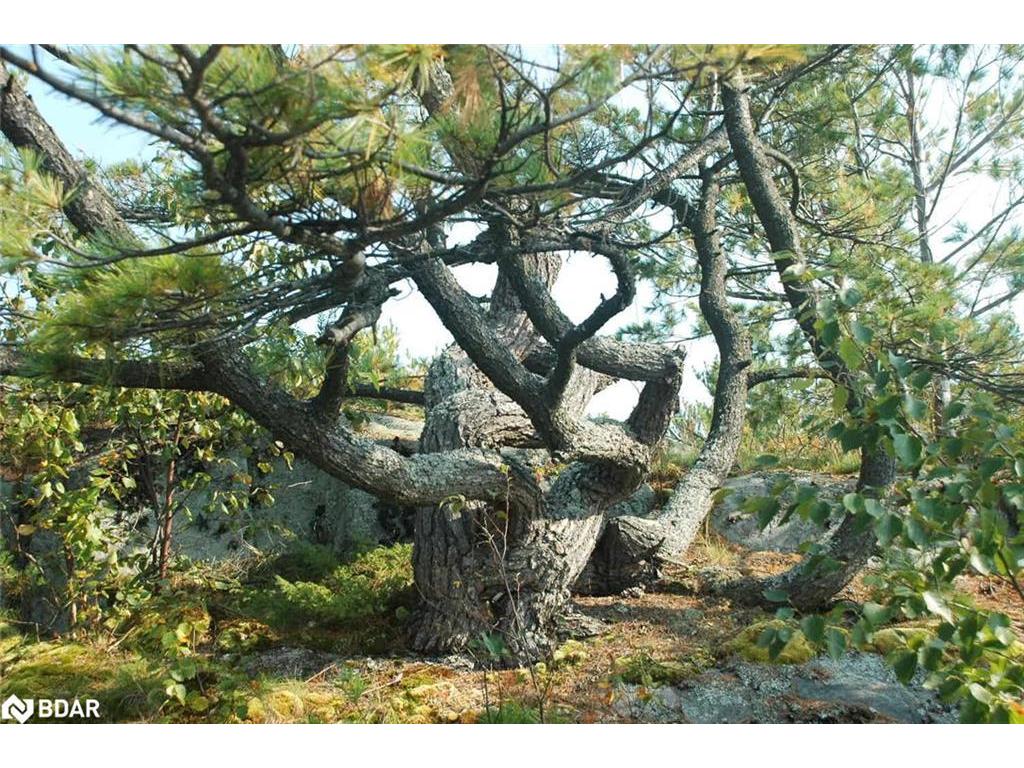 









1


A249

Island,
Pointe au Baril,







ON
P0G 1K0

