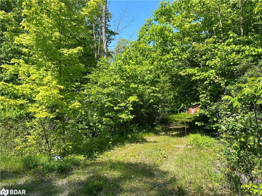 









21


Riverside Drive

Drive,
Campbellford,







ON
K0K 1L0

