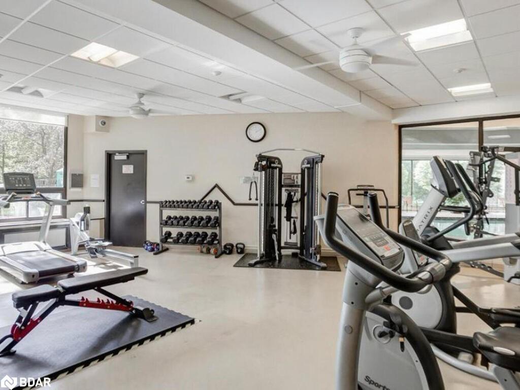 









288


Mill

Road, F19,
Toronto,




ON
M9C 4X7

