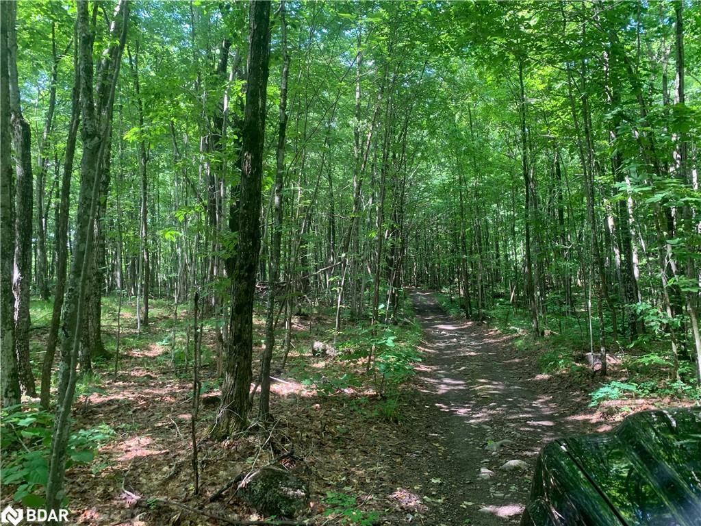 









00


Clareview

Road,
Erinsville,







ON
K0K 2A0

