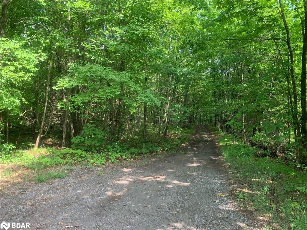 









00


Clareview

Road,
Erinsville,







ON
K0K 2A0

