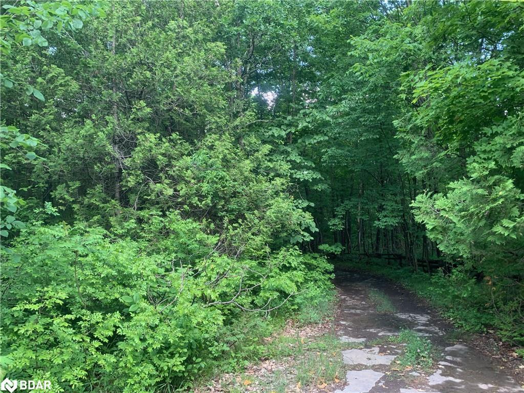 









00


Clareview

Road,
Erinsville,







ON
K0K 2A0

