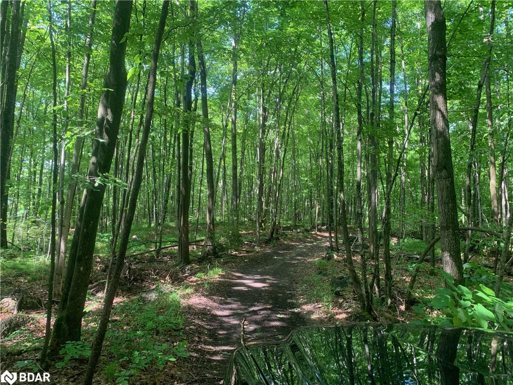 









00


Clareview

Road,
Erinsville,







ON
K0K 2A0

