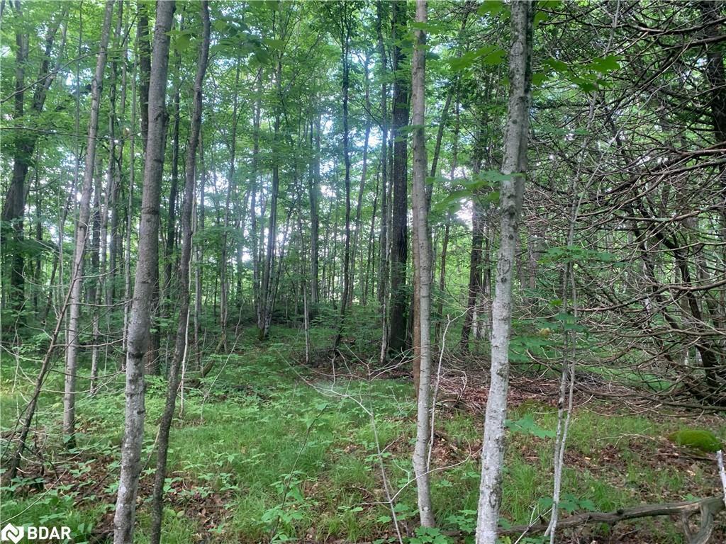 









00


Clareview

Road,
Erinsville,







ON
K0K 2A0

