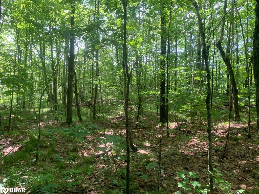 









00


Clareview

Road,
Erinsville,







ON
K0K 2A0

