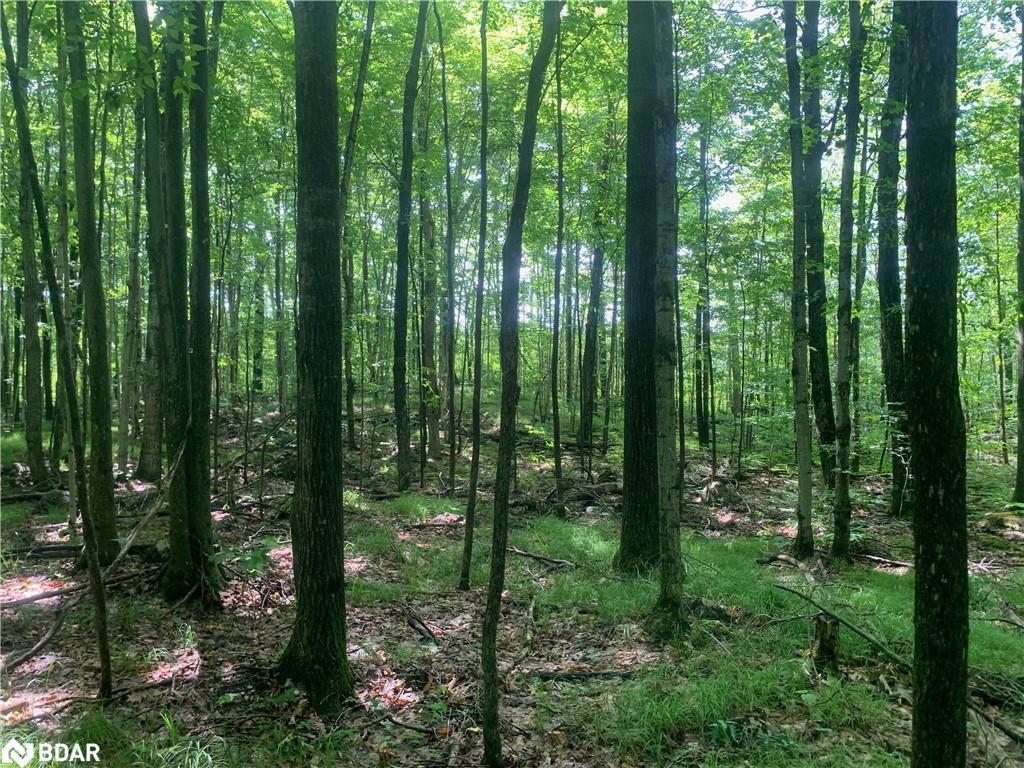 









00


Clareview

Road,
Erinsville,







ON
K0K 2A0

