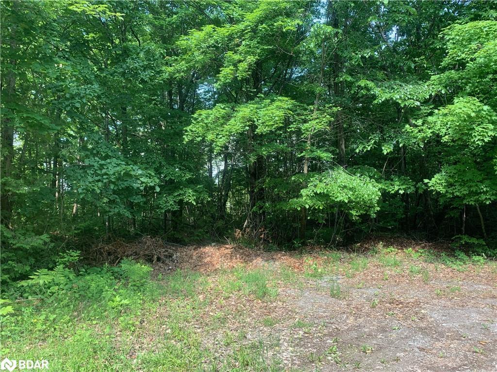 









00


Clareview

Road,
Erinsville,







ON
K0K 2A0

