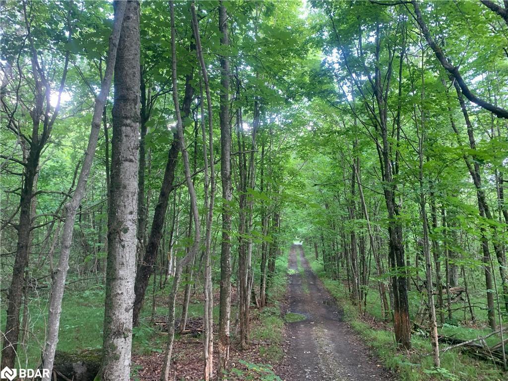 









00


Clareview

Road,
Erinsville,







ON
K0K 2A0


