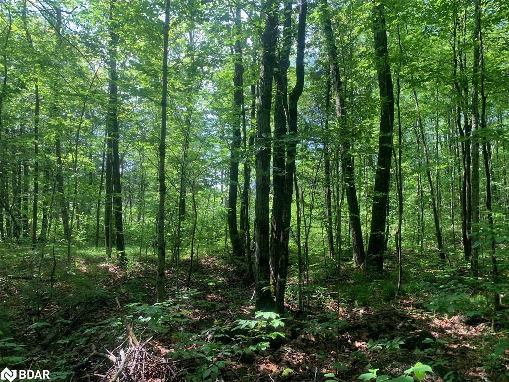 









00


Clareview

Road,
Erinsville,







ON
K0K 2A0


