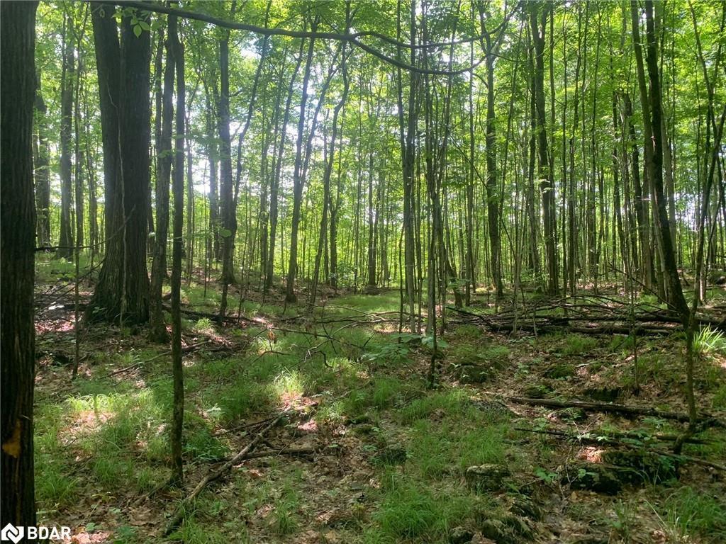 









00


Clareview

Road,
Erinsville,







ON
K0K 2A0

