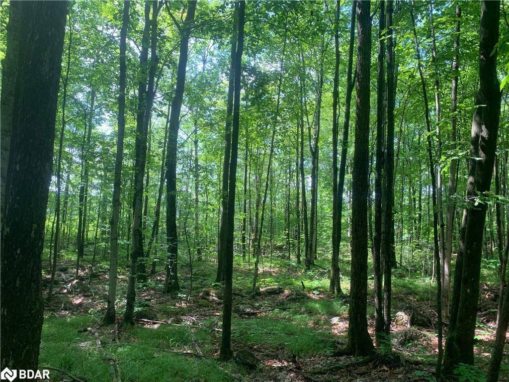 









00


Clareview

Road,
Erinsville,







ON
K0K 2A0

