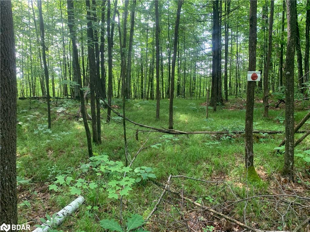 









00


Clareview

Road,
Erinsville,







ON
K0K 2A0

