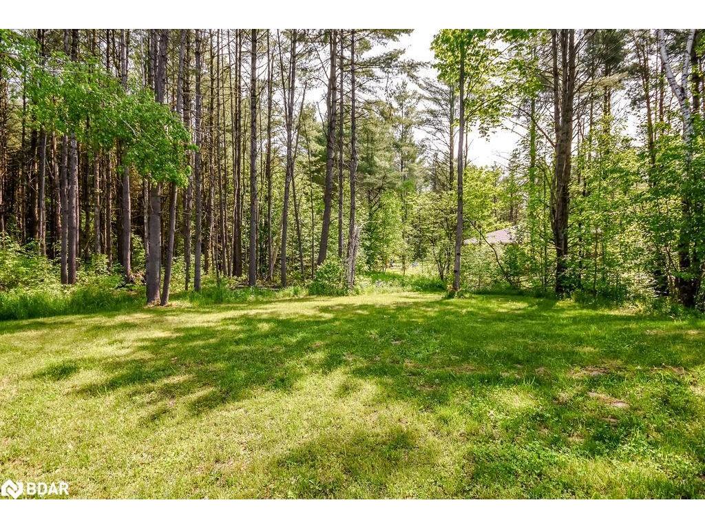 









5142


Severn Pines

Crescent,
Washago,




ON
L0K 2B0


