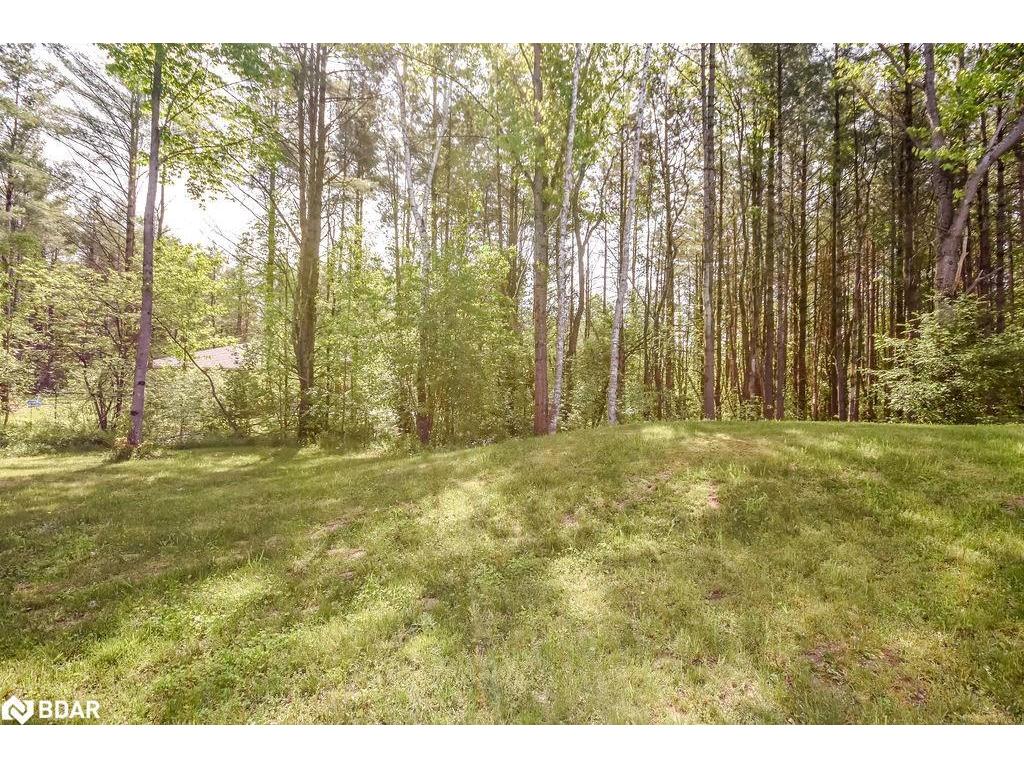 









5142


Severn Pines

Crescent,
Washago,




ON
L0K 2B0

