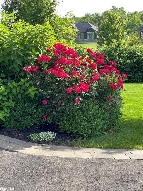 









143


Turner Court

Court,
Erin,




ON
N0B 1H0

