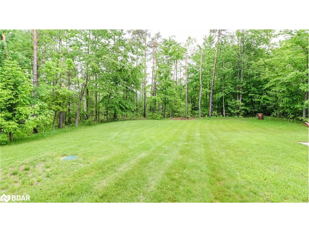 









2066


Elana

Drive,
Orillia,




ON
L3V 0C2

