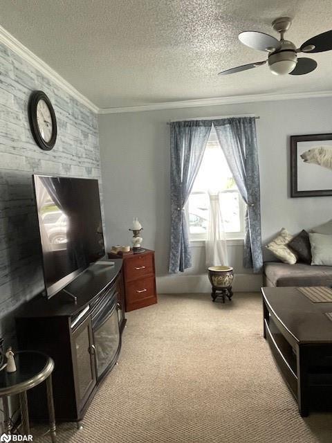 









7424


County Rd 91

Road,
Stayner,




ON
L0M 1S0

