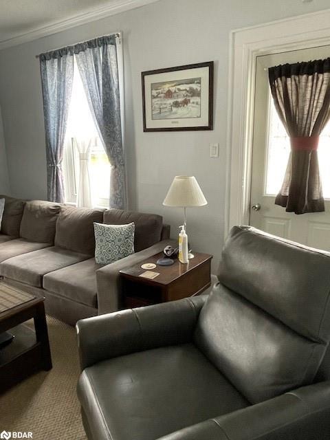 









7424


County Rd 91

Road,
Stayner,




ON
L0M 1S0

